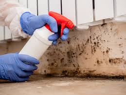 Best Emergency Mold Remediation  in Rockville, MN